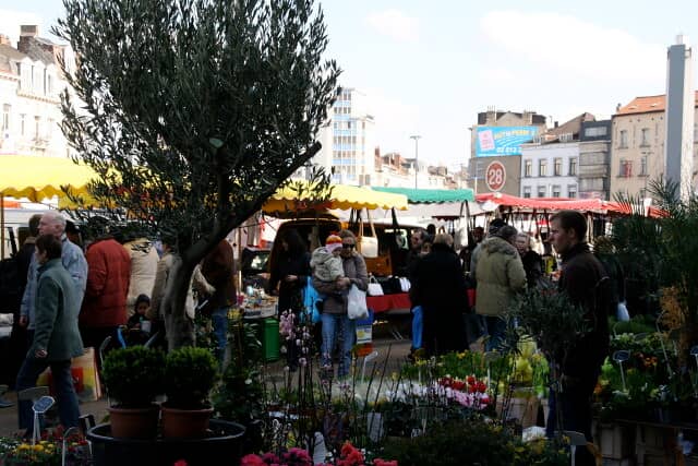 Tuesday Market Delights