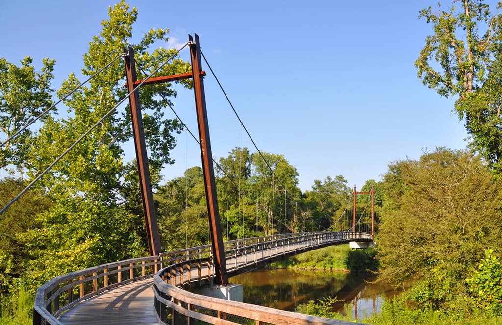 Neuse River Views