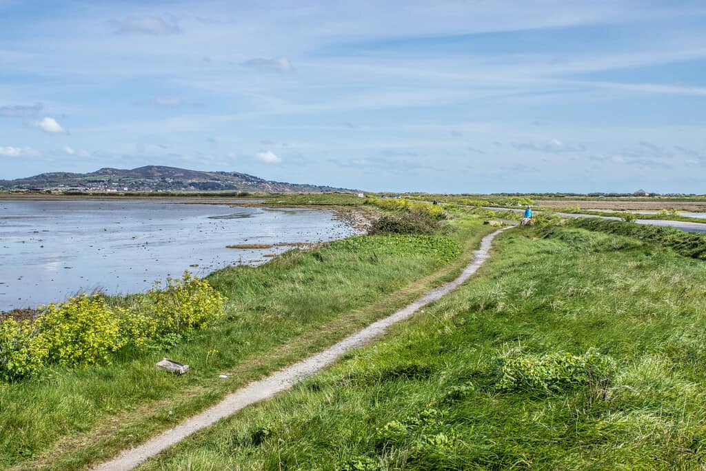 Bull Island Nature Reserve