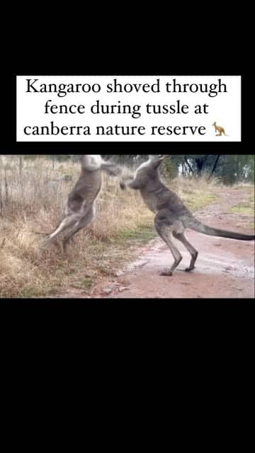 Social content