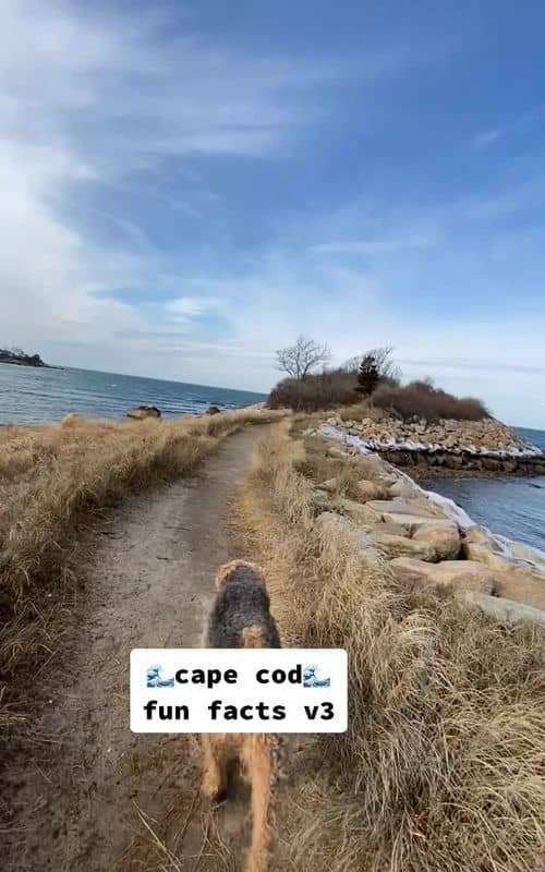 Social content
