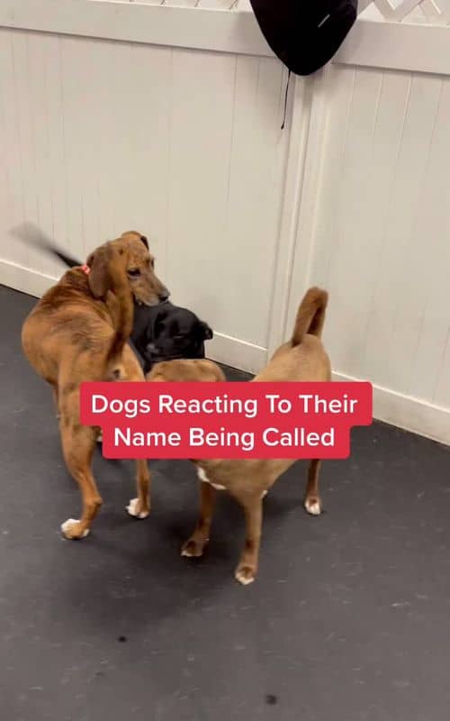 Social content