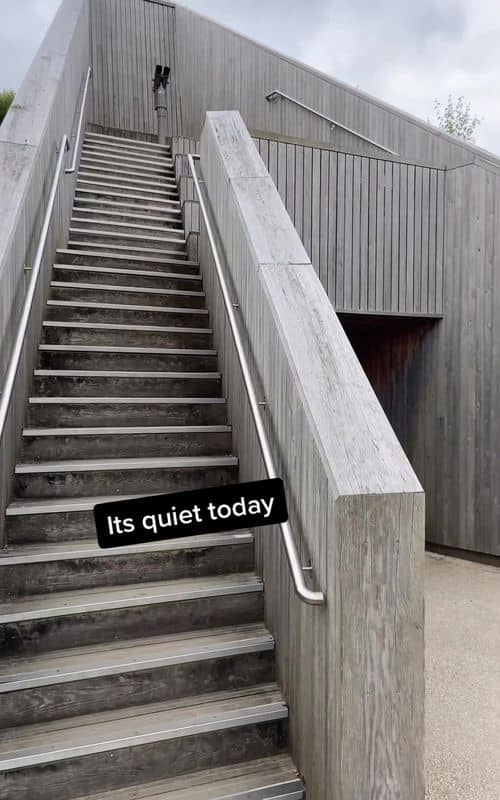 Social content