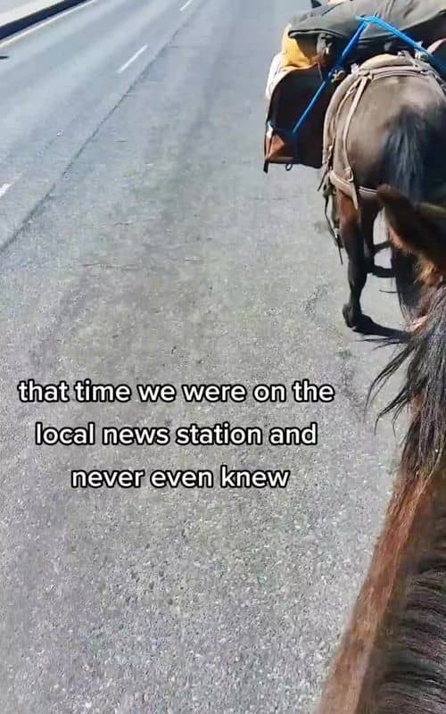 Social content