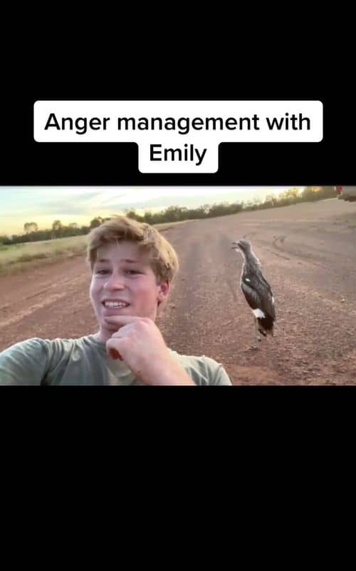 Social content
