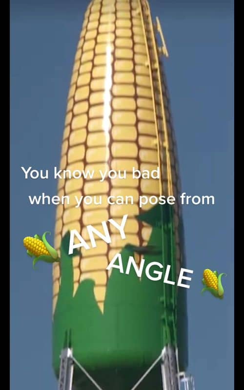 Social content