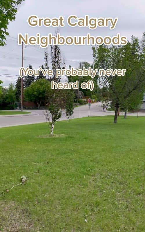 Social content