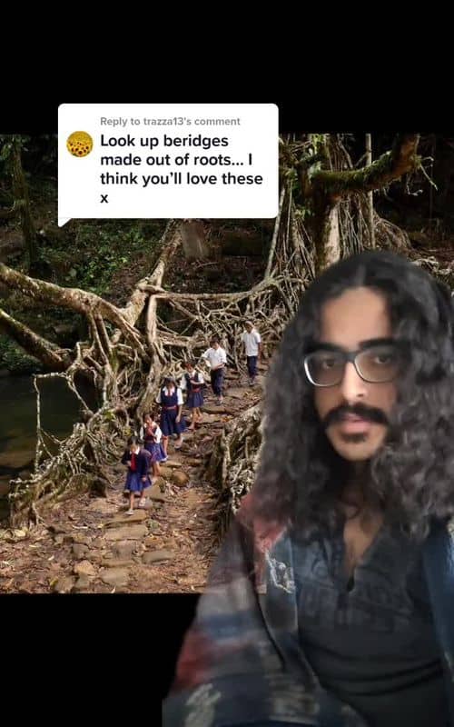 Social content