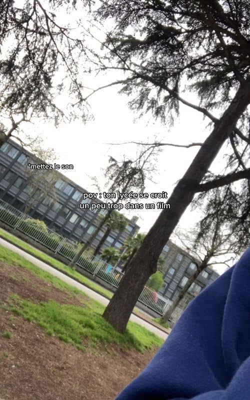 Social content