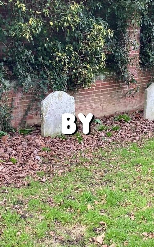 Social content