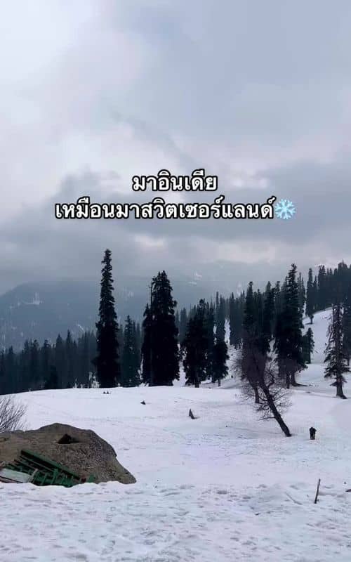 Social content