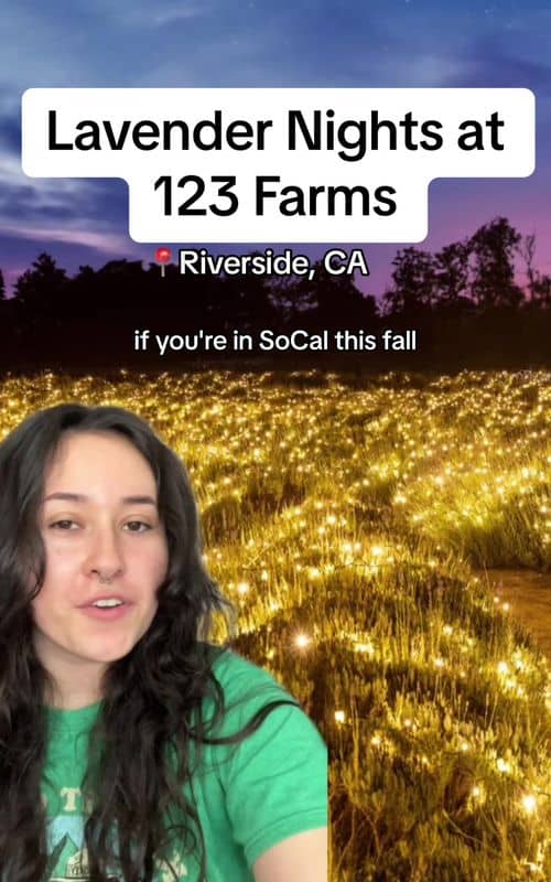 Social content