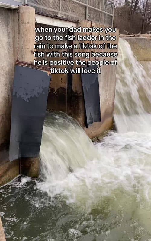 Social content
