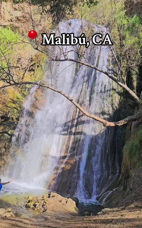 Social content
