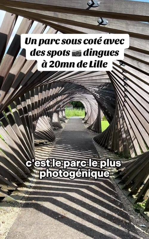 Social content