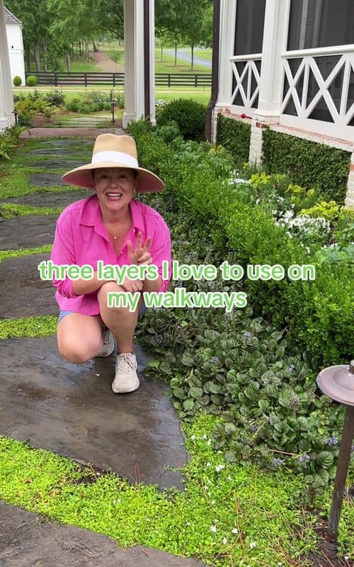 Social content
