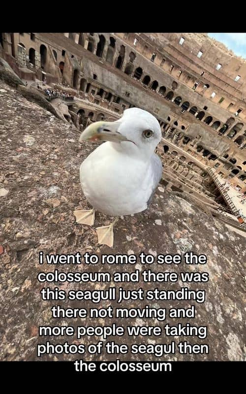 Social content