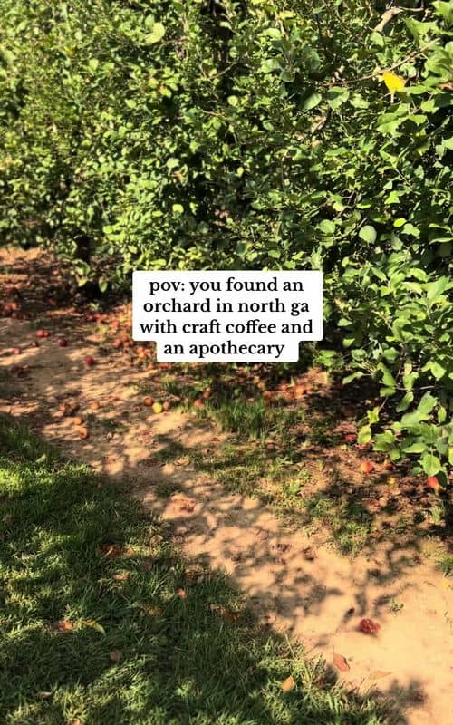 Social content