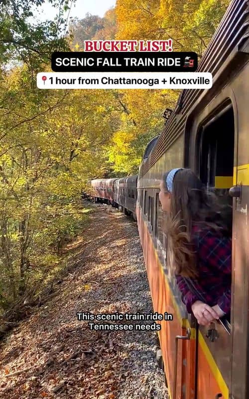 Social content