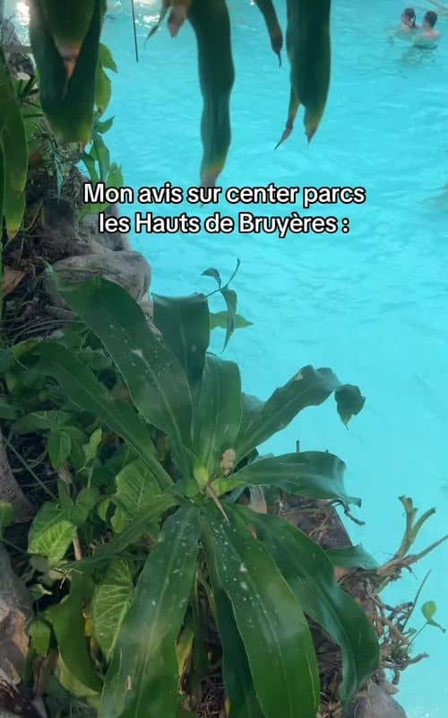 Social content