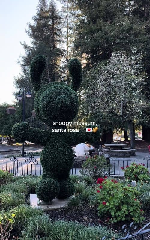 Social content