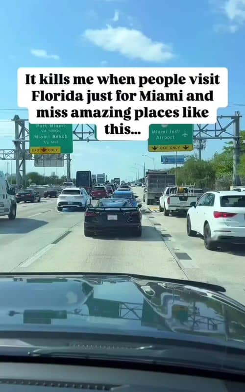 Social content