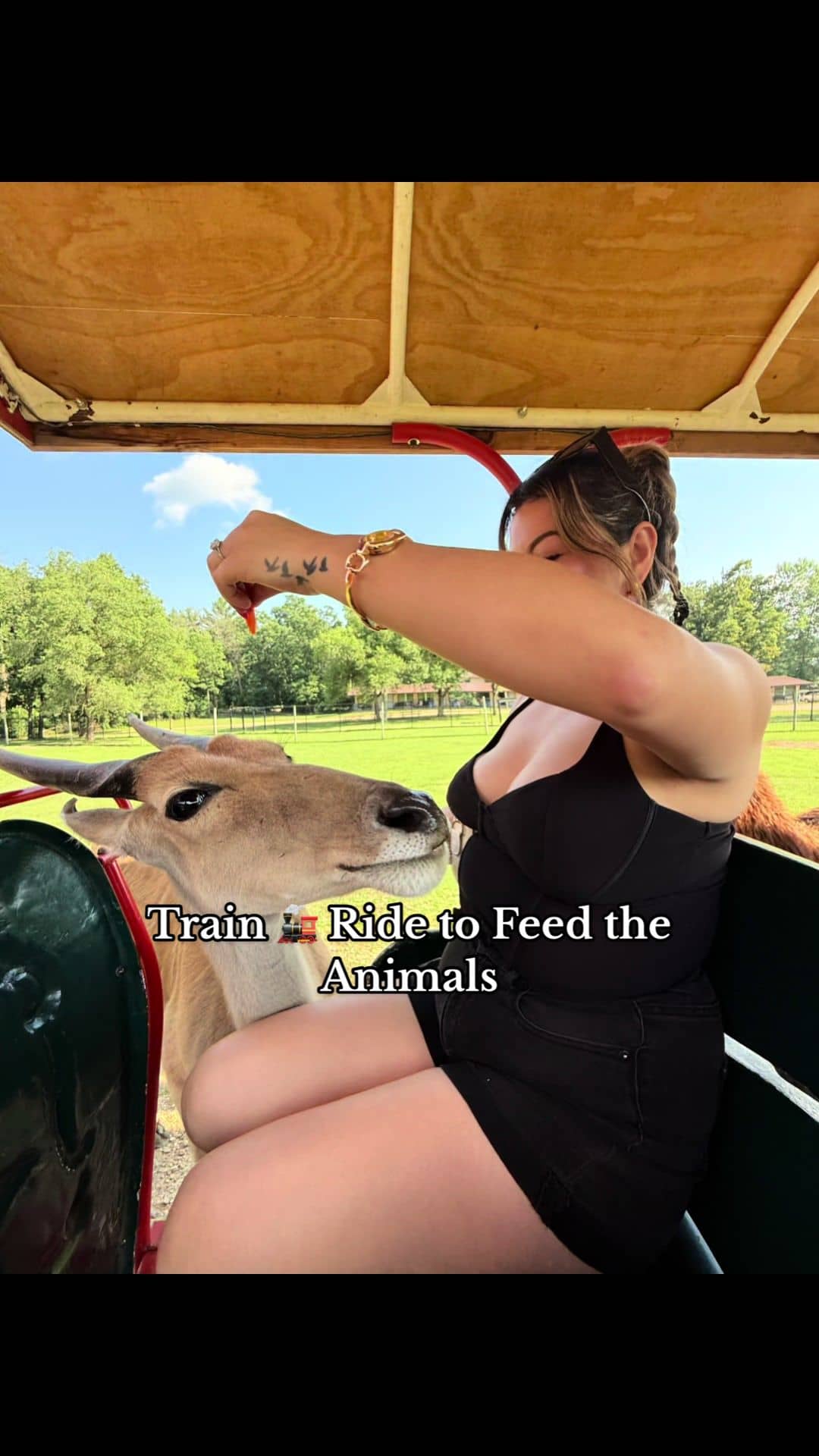 Social content