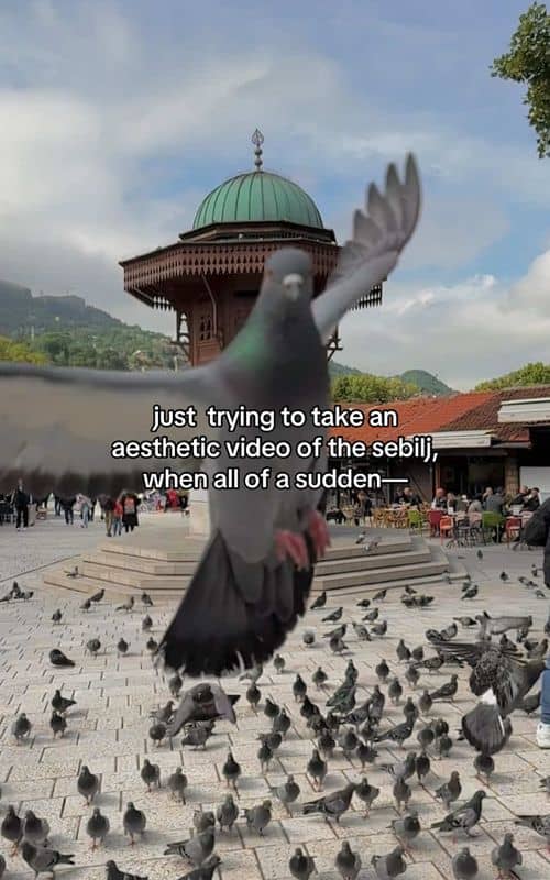 Social content