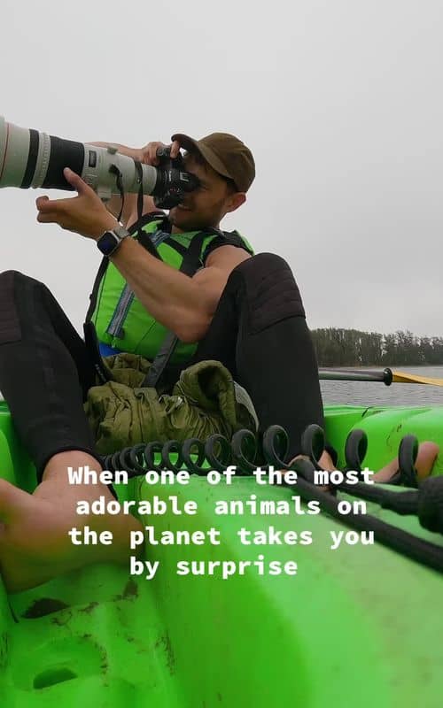Social content