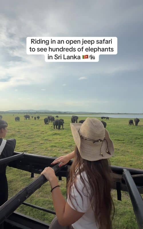 Social content