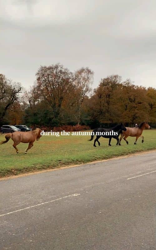 Social content