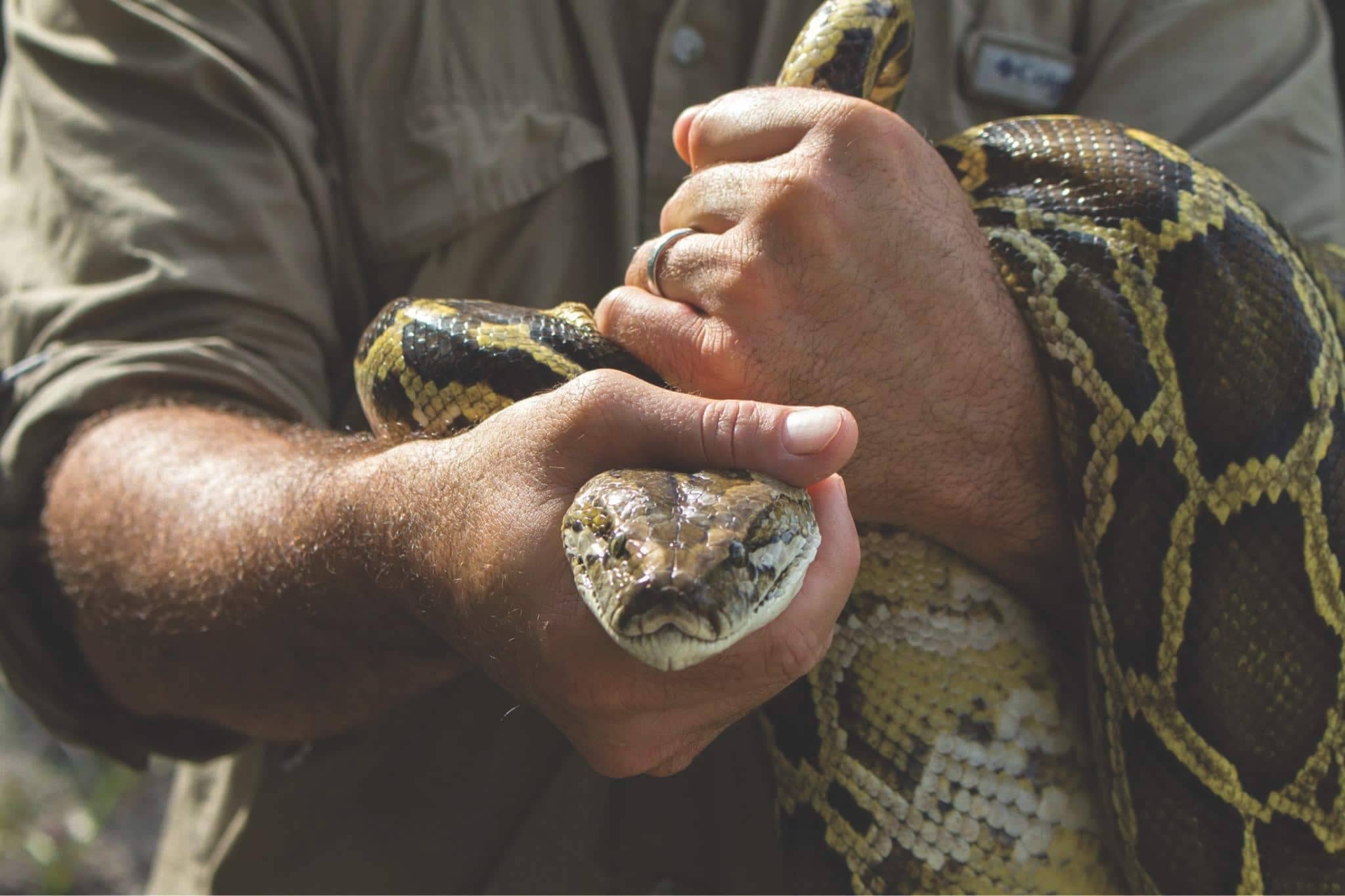 Wildlife Rescue & Rehabilitation