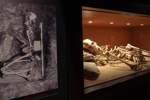 Nerja Cave Artifacts