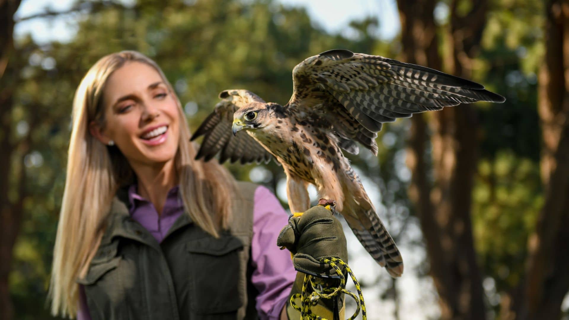 Falconry Experience