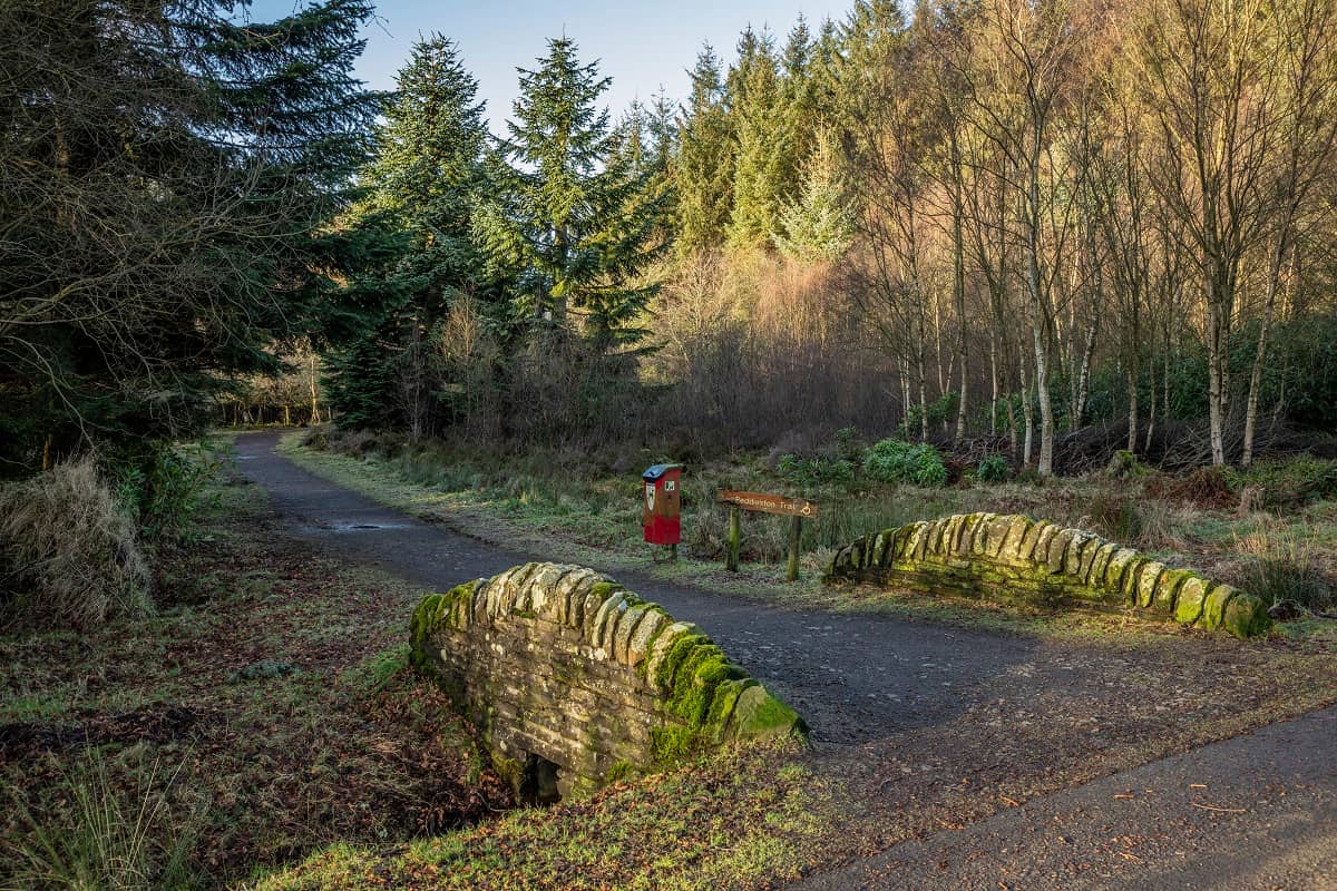 Woodland Trails