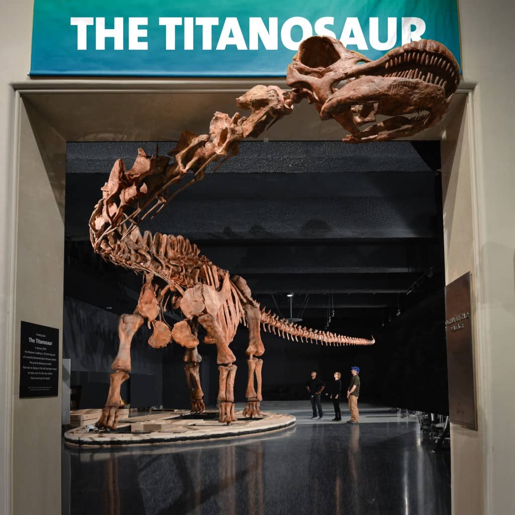 Titanosaur Sculpture
