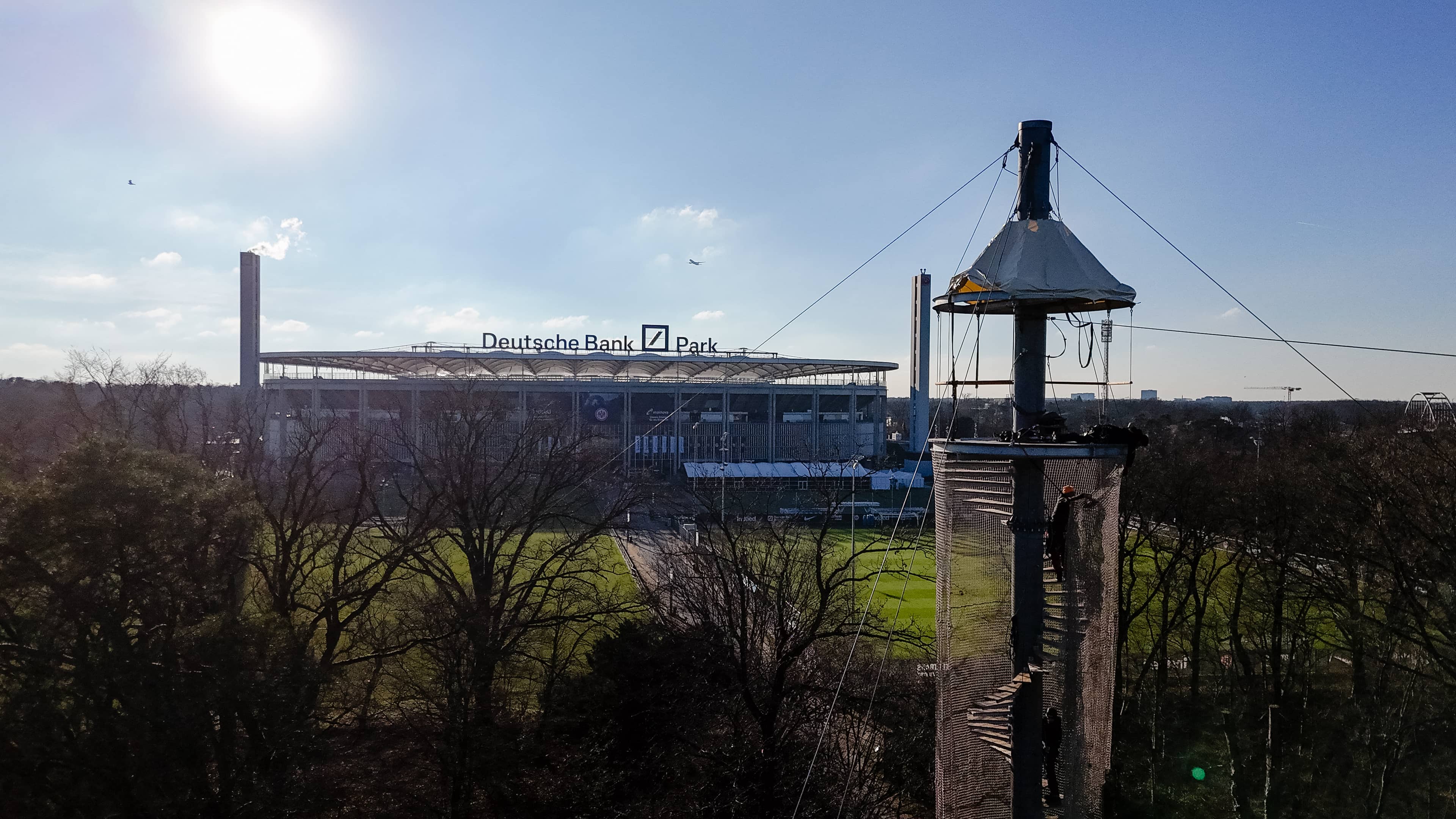 Skyline Views from the Climbing Forest