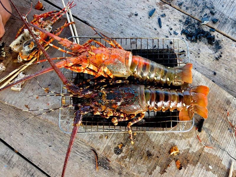 Fresh Seafood Delights