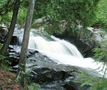 Congdon Park Trails