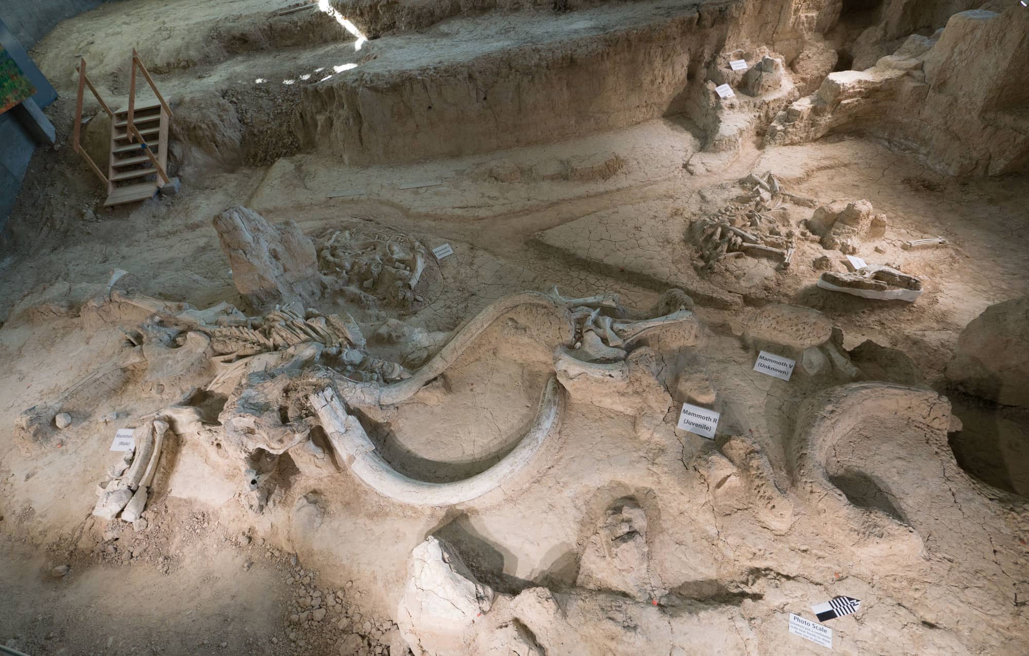 Period Artifacts