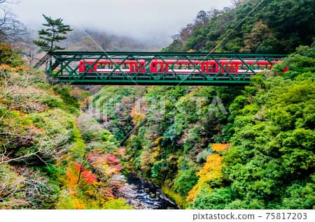 Hayakawa Bridge Views