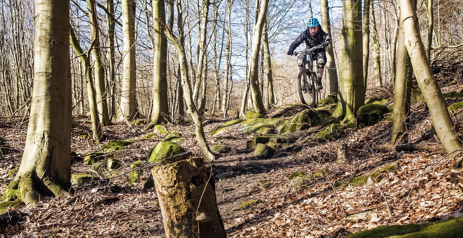 Flowy Single Tracks