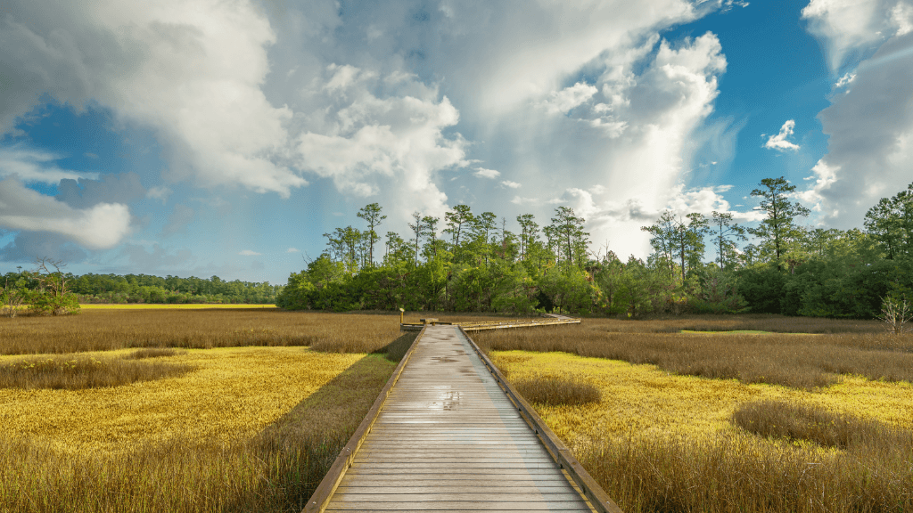 Palmetto Islands County Park