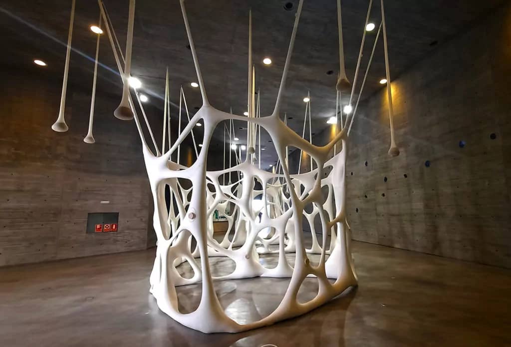 Immersive Art Installations
