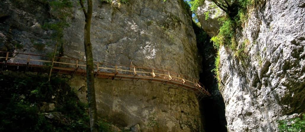 Narrow Ravine Trails