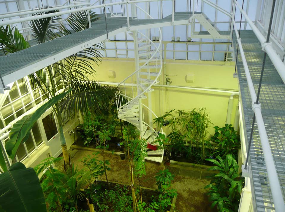 Medicinal & Apothecary Garden