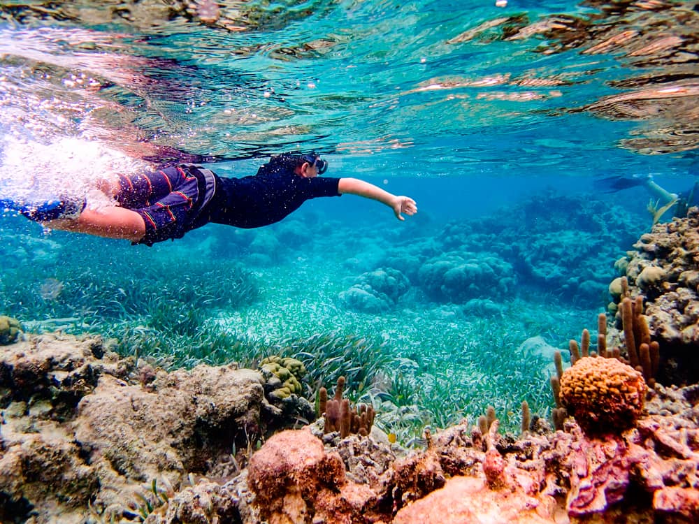 Hidden Calas and Snorkeling Spots
