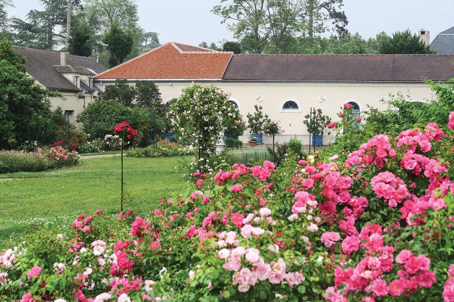 The Lush Gardens