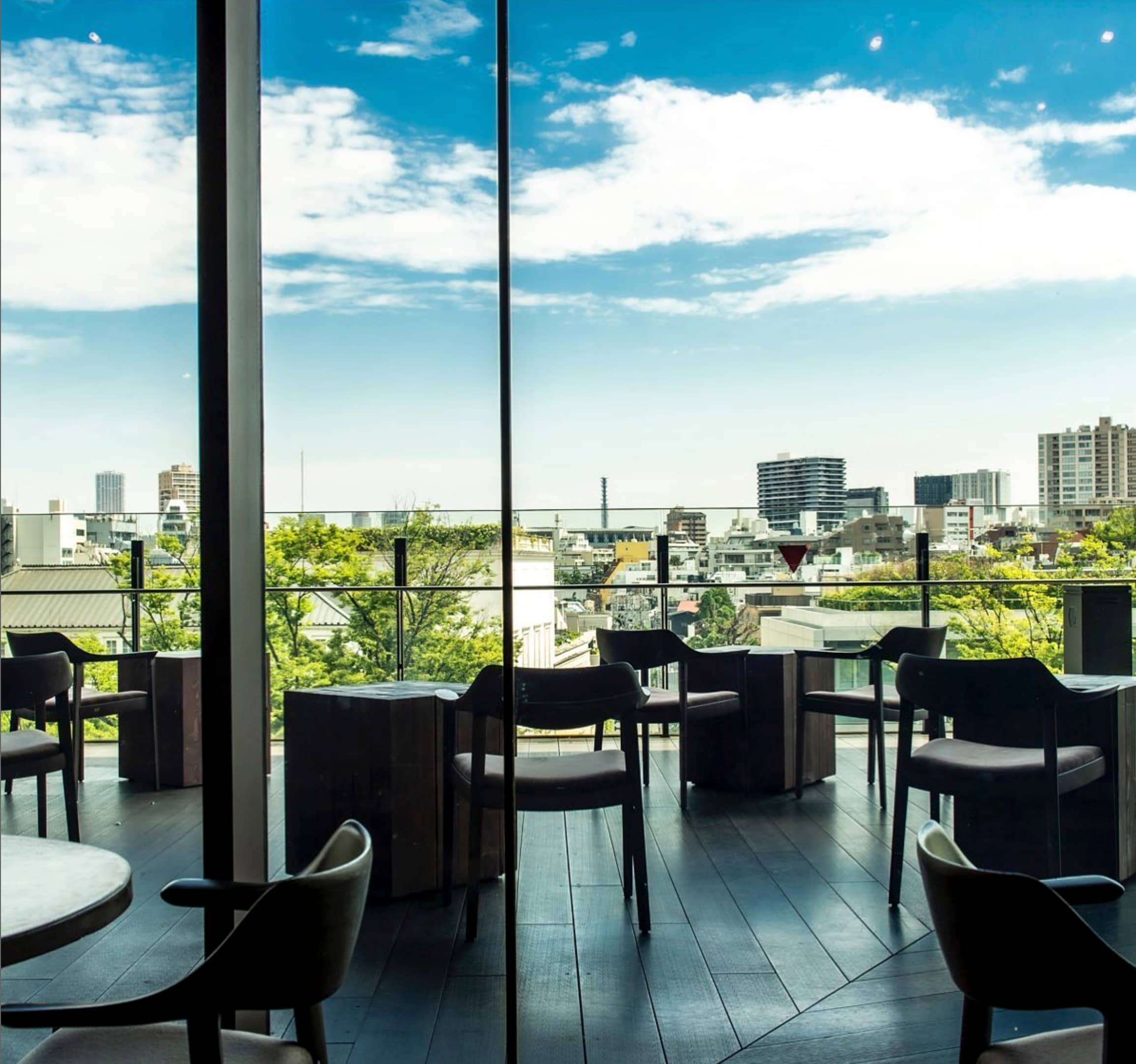 Rooftop Dining with a View