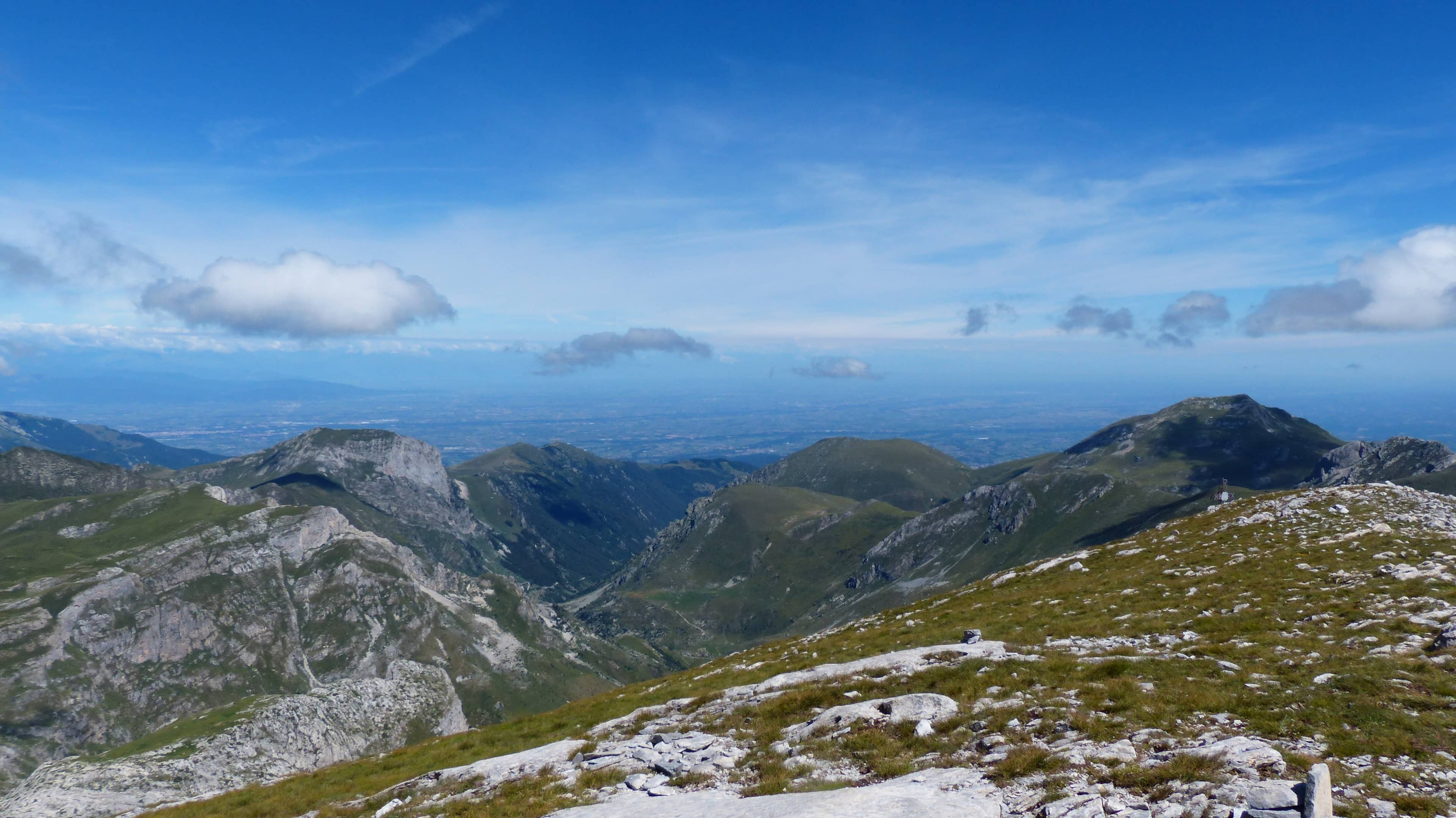 Alpine Meadow Exploration